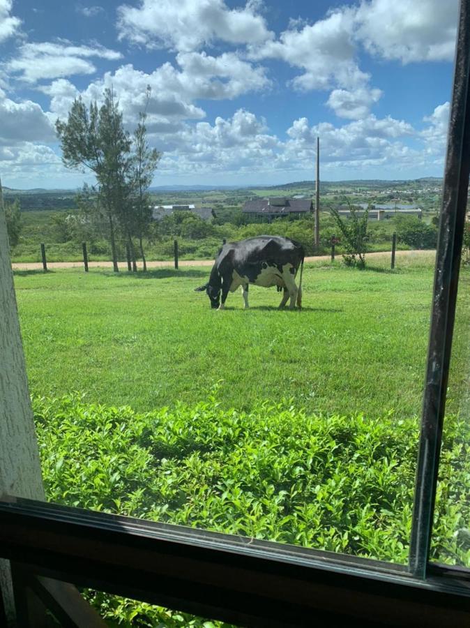 公寓 Flat Na Fazenda Monte Castelo Saire - Mod 12 - Flat 9 Gravata (Gravata, Pernambuco)